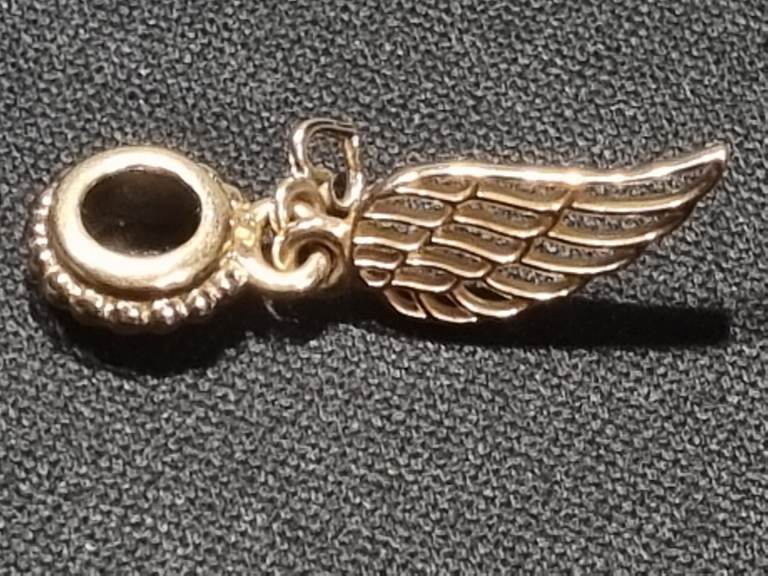 image for 🌲Pandora Love and guidance charm 🌲