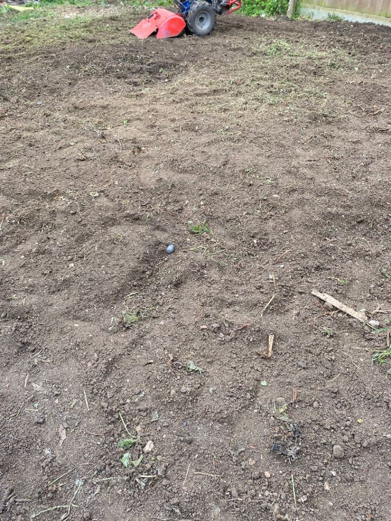 FREE GARDEN SOIL, LE5 EVINGTON 