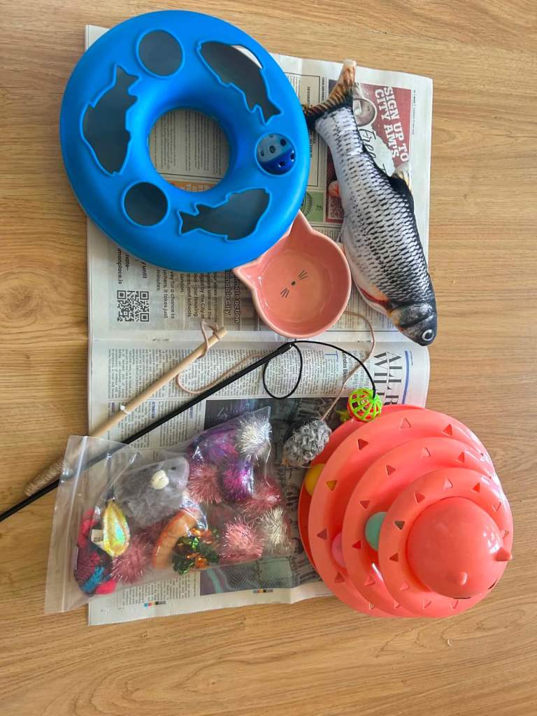 Cat Toys Bundle 