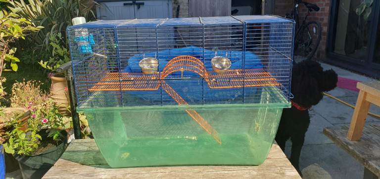 Gerbil Cage