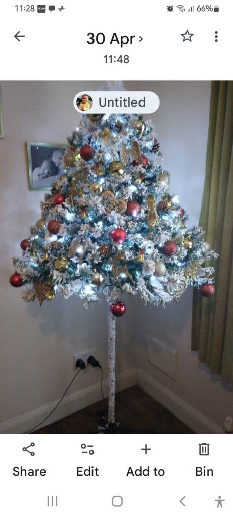 Christmas Tree