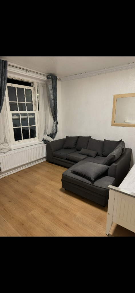 Spacious Room to rent in central London 