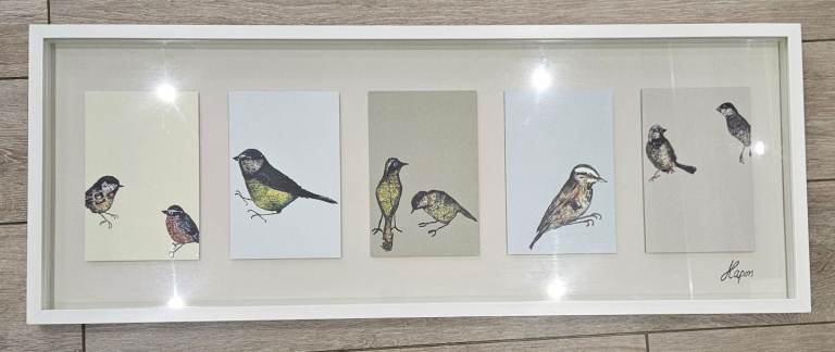 FREE for collection: Bird Print 