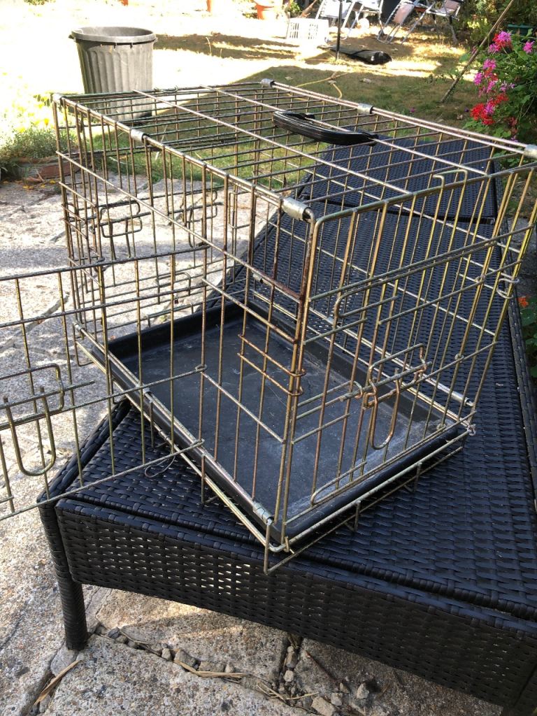Metal pet carrier and tray