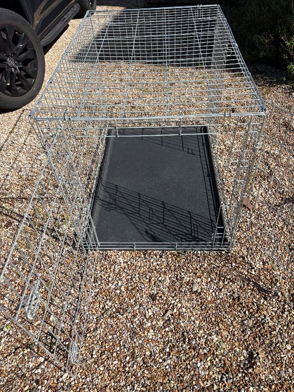 Large dog crate