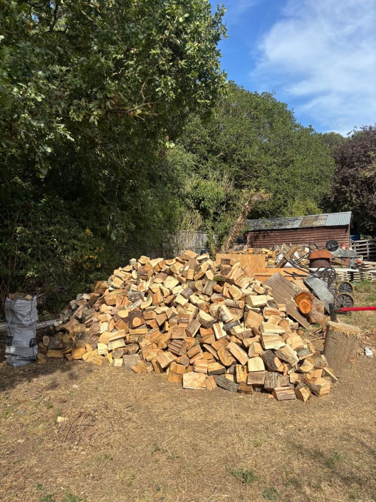 OAK LOGS FOR SALE 