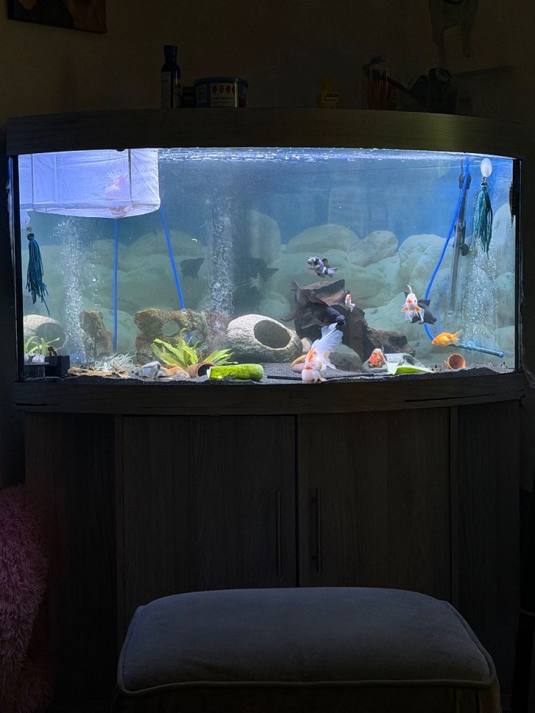 350l corner tank / cabinet (Ono)