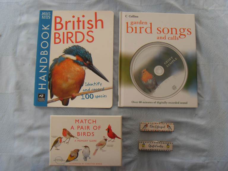 Bird Match Game and Books