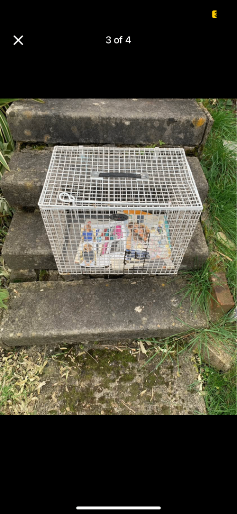 Shaws metal pet carrier