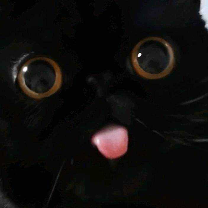 If you need a cleaner, Call me 