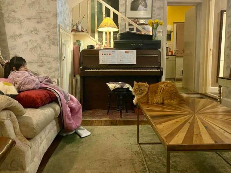 Room Available to Rent in family home RH17 5SN