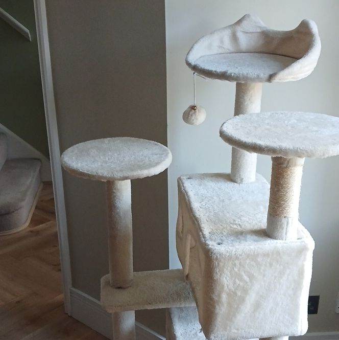 Cat activity station