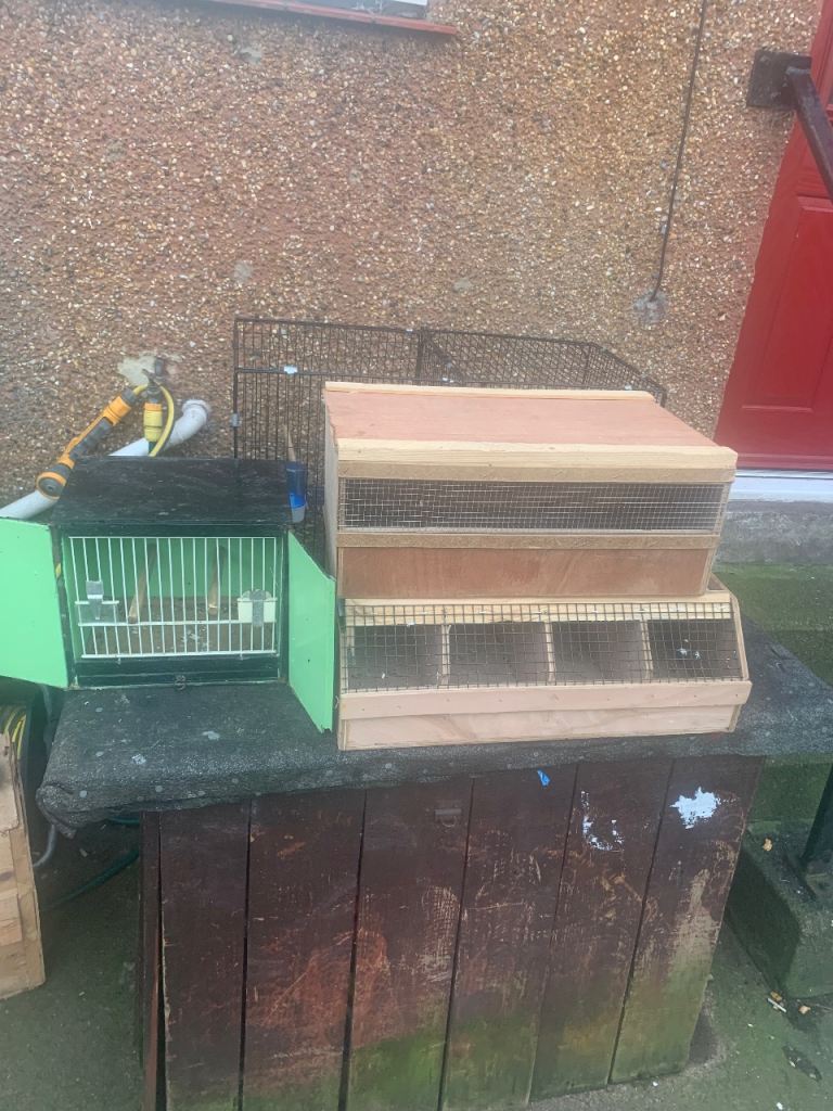 image for Bird breeding cage and carrying cages 