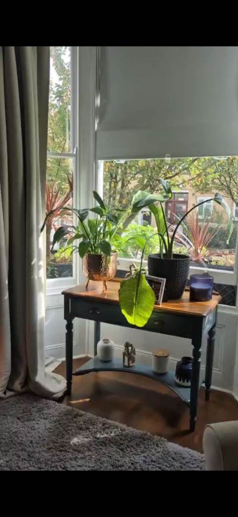 3 bedroom W14 0AP near Westfields 