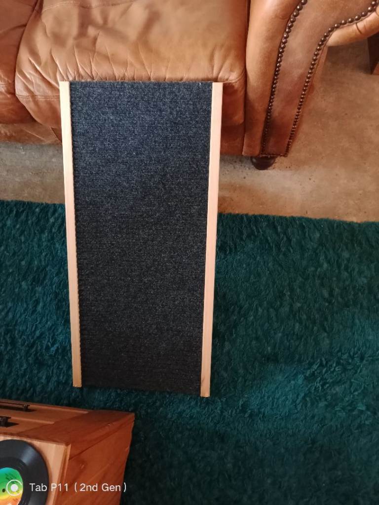 Pet ramps x2