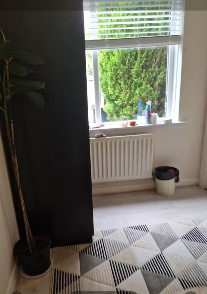 Room for rent