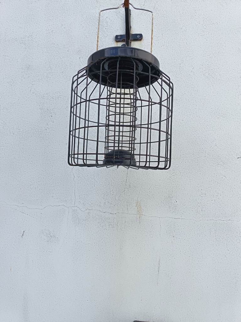 Wild Bird Feeders