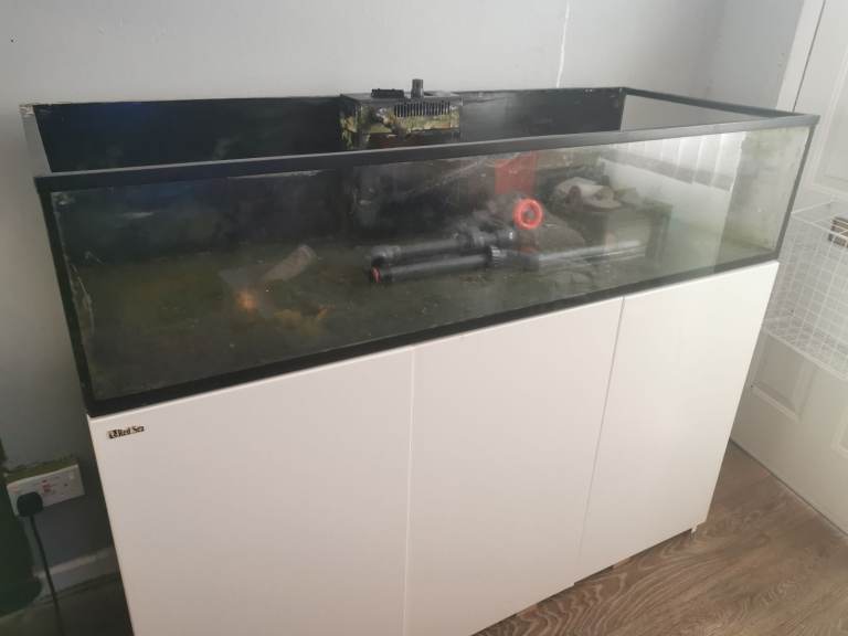 Used red sea reefer 525xl