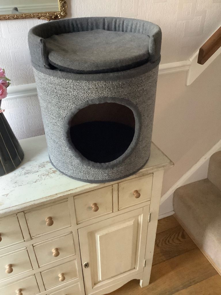 Cat bed