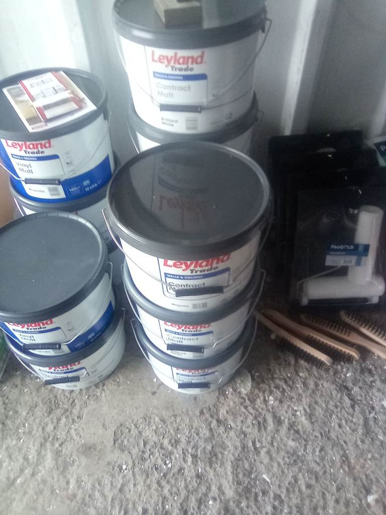 Interior paints