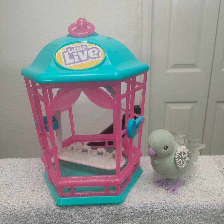 Little Live Bird in cage Toy