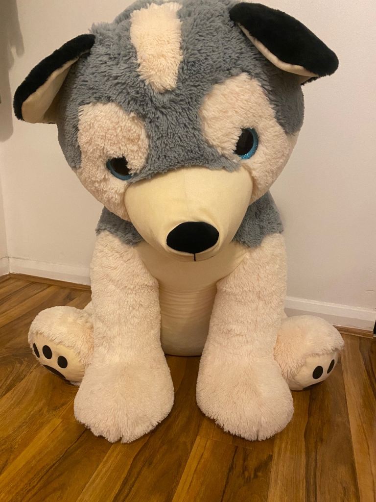 Big dogi teddy 