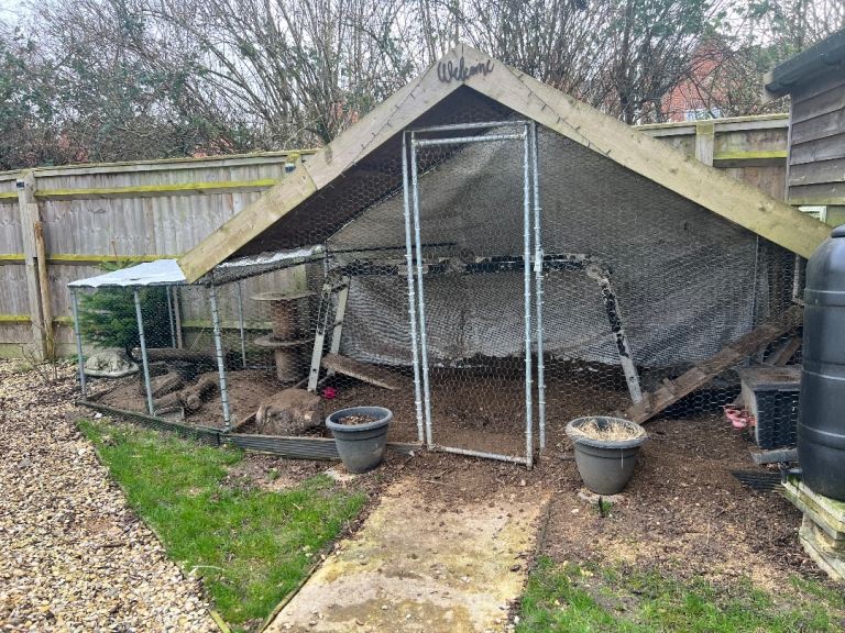 Chicken/animal run 