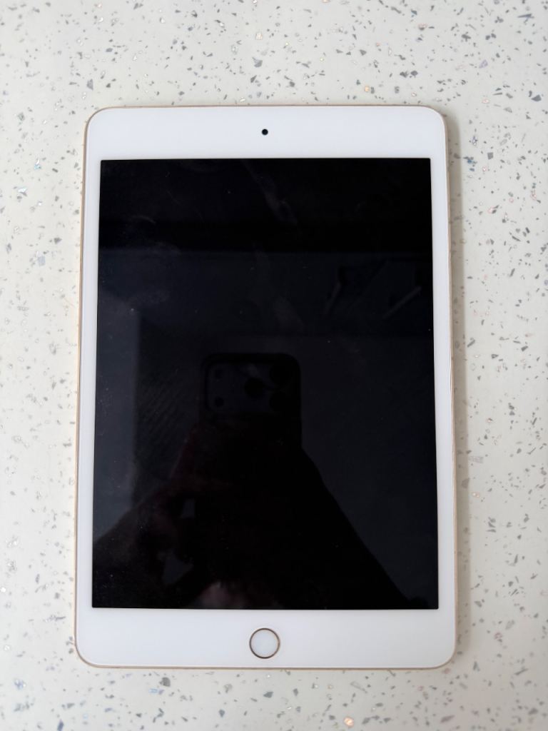 iPad mini 4