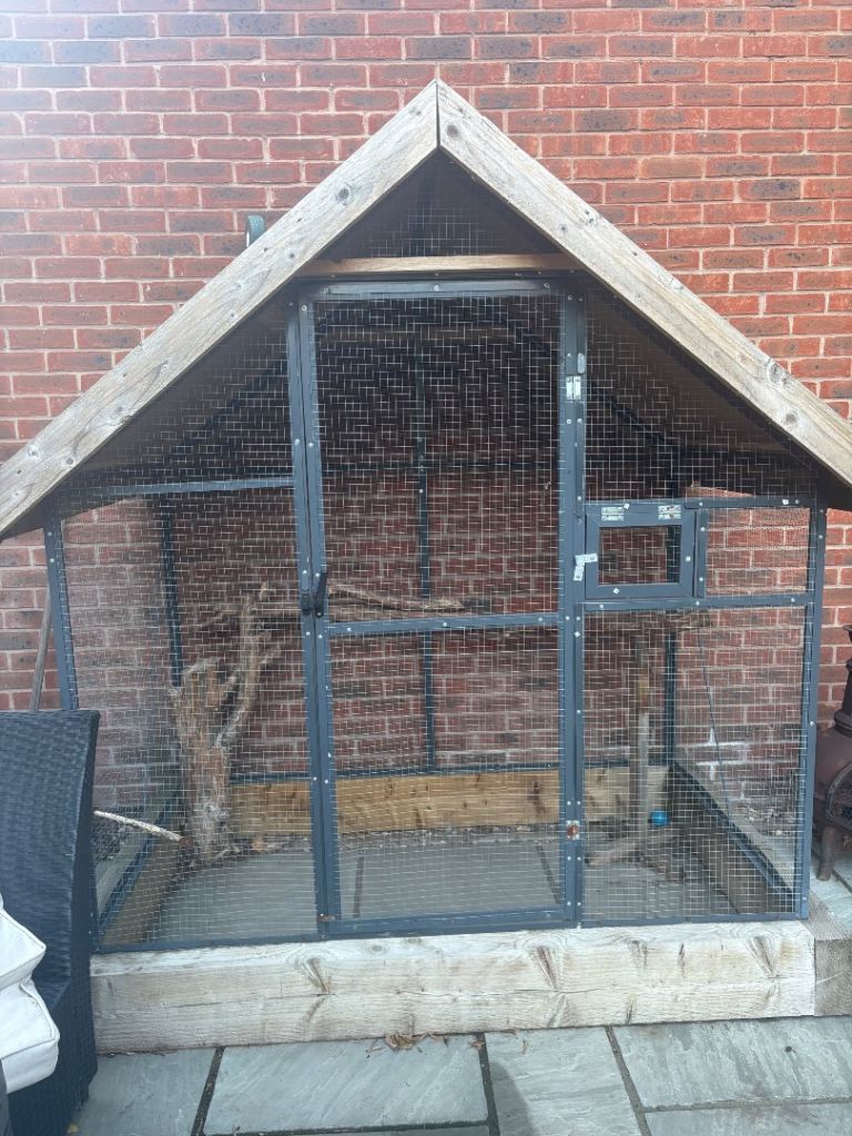 Parrot summer cage 
