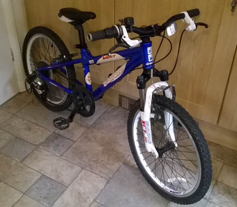 Carrera Junior Mountain Bike - Age Range : 6-9 years