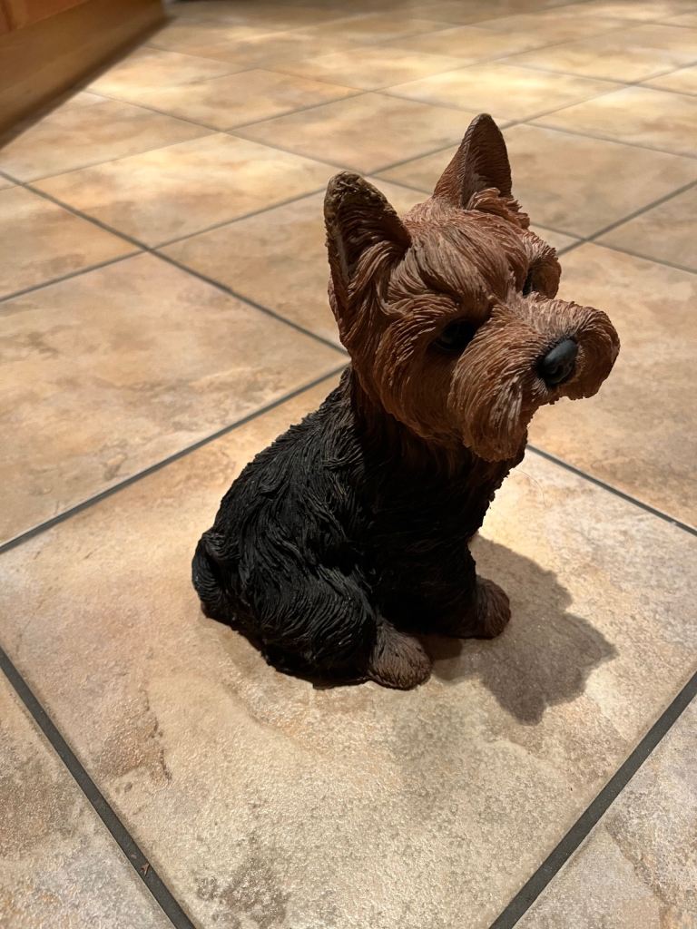 Sitting Yorkshire Terrier