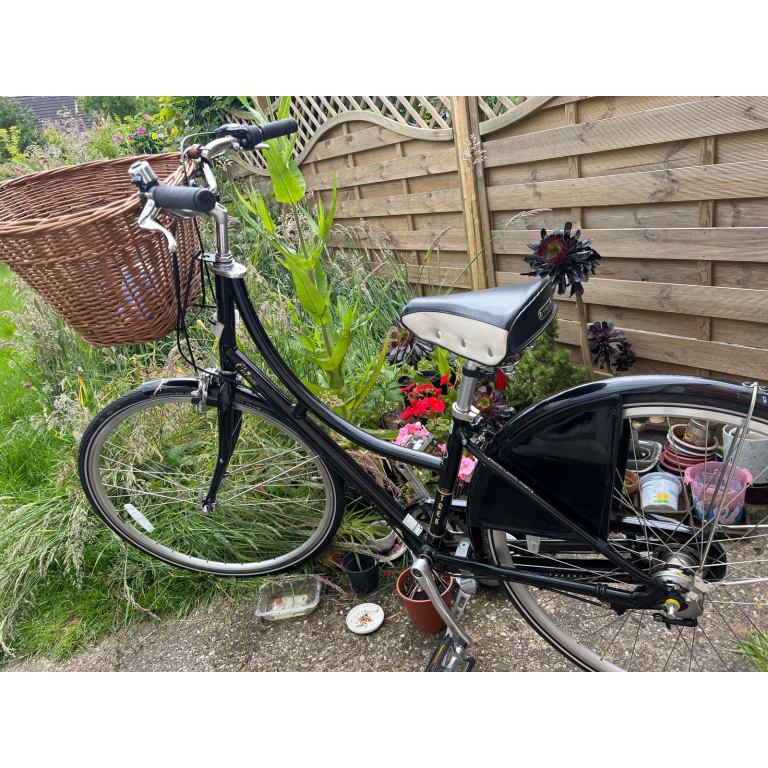 Women’s bike Cocoa, specific design 