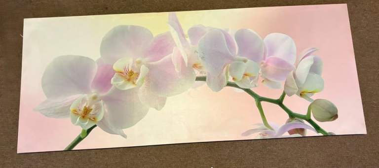 FLOWER PAINTING / CANVASS - orchid/hibiscus floral design painting. HOME DECOR WALL ART