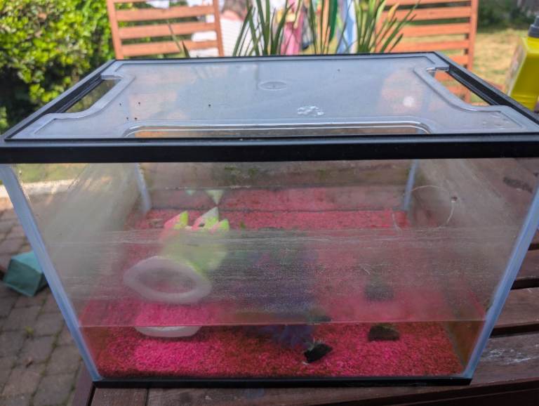 Small Fish Tank/Aquarium with Lid – Used Condition
