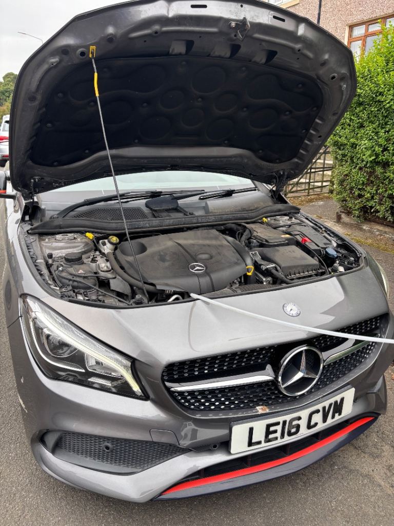 Engine carbon cleaning