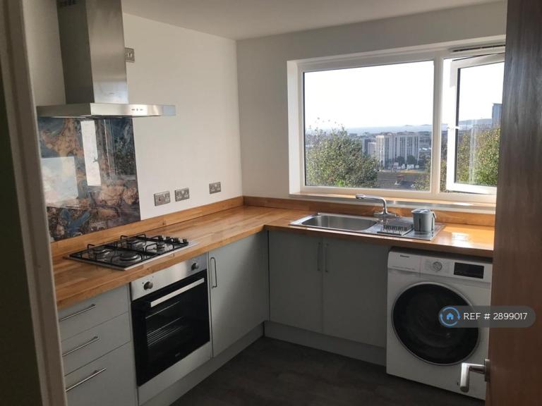 1 bedroom flat in Windmill Terrace, Swansea, SA1 (1 bed) (#2899017)