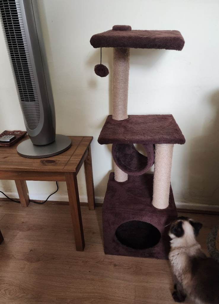 Cat tree,ideal for kittens or cats