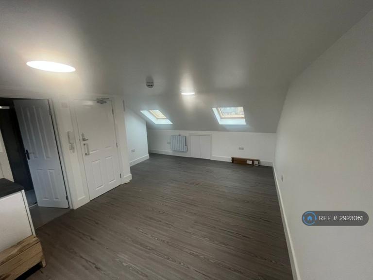 Studio flat in Broadwater Road, London, SW17 (#2923061)