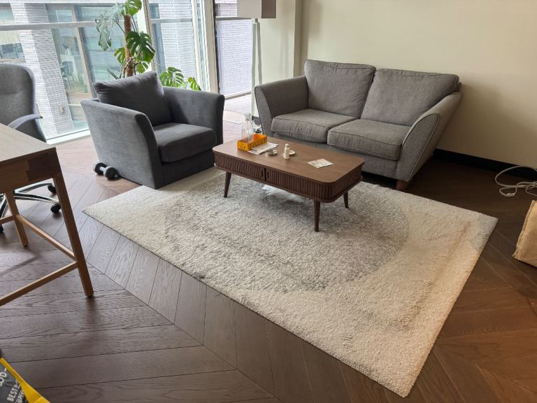 Living room rug