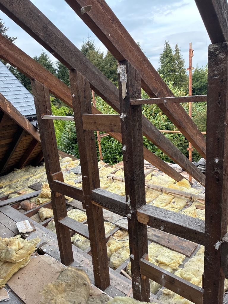 Timber studs wood free