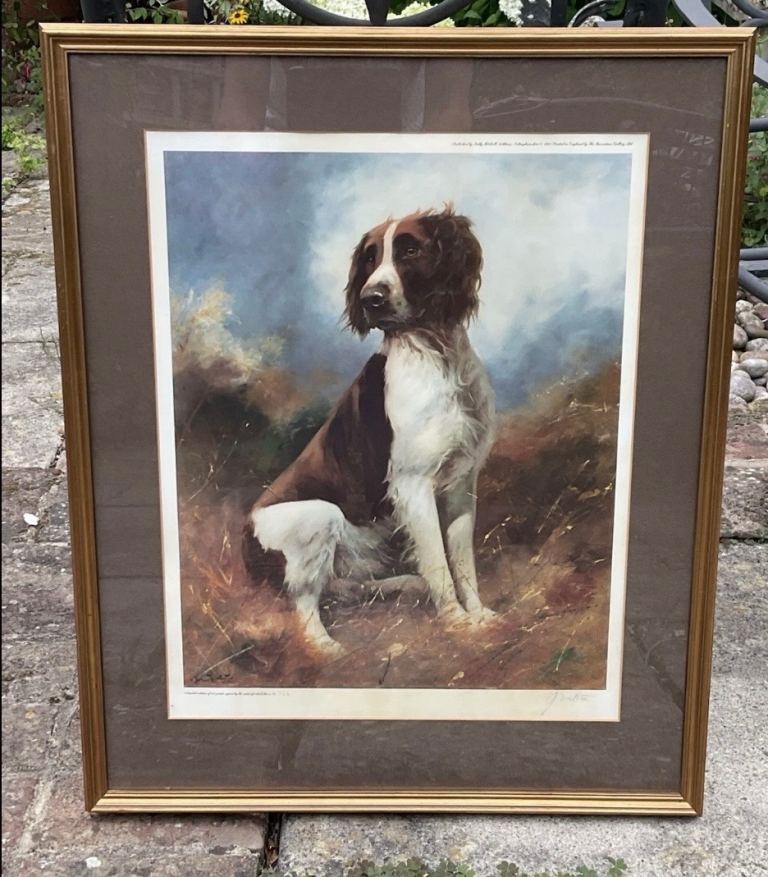 Limited Edition John Trickett Springer Spaniel Print - Fromaed and Glazed