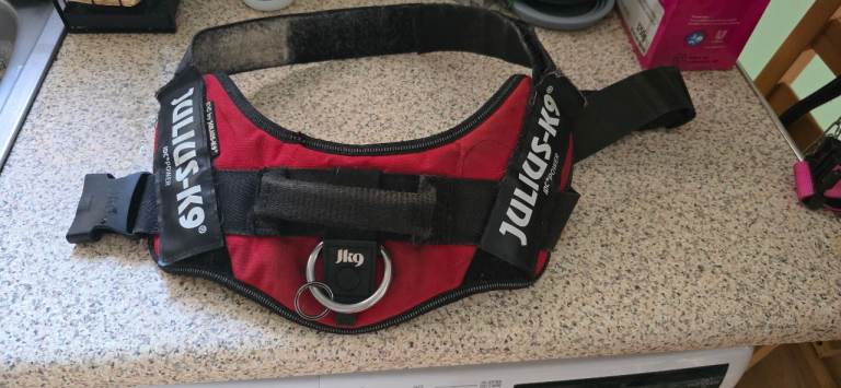 Julius-K9 dog harness size large