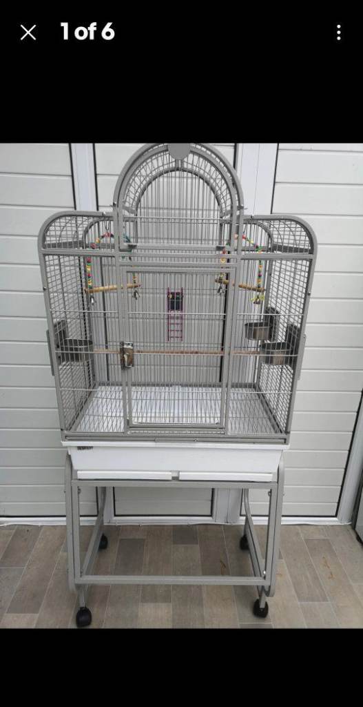 Large Cage Bird/Budgies 
