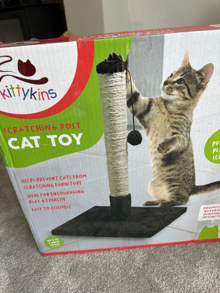 Cat post 