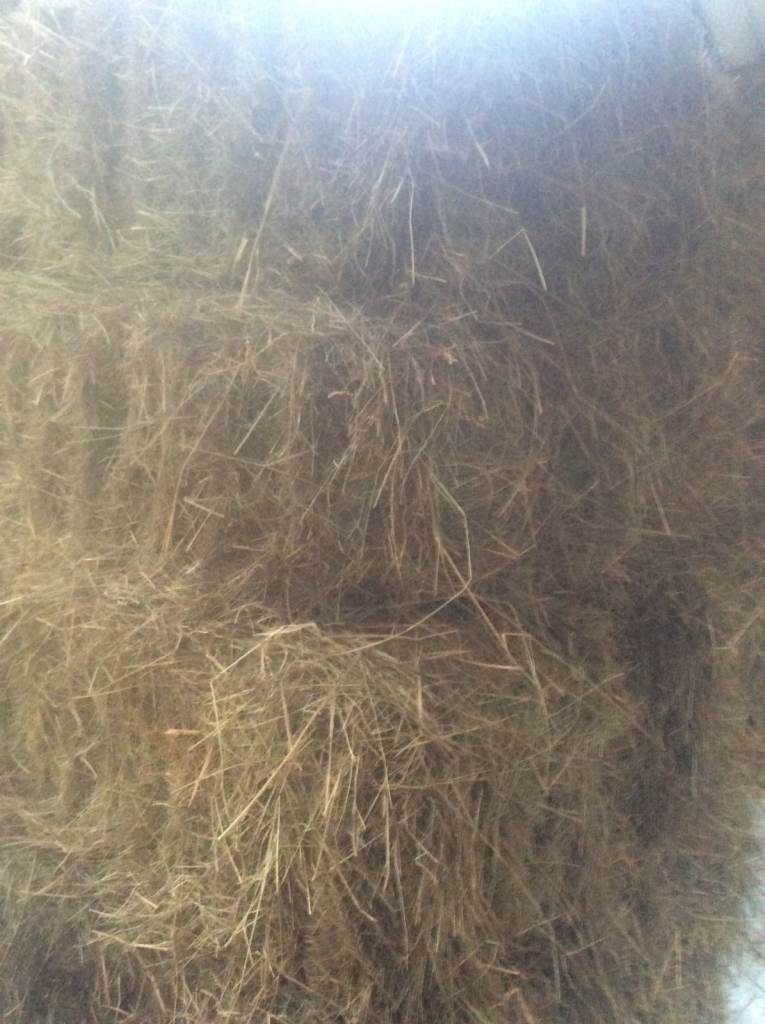 Hand Held Bales Of Hay