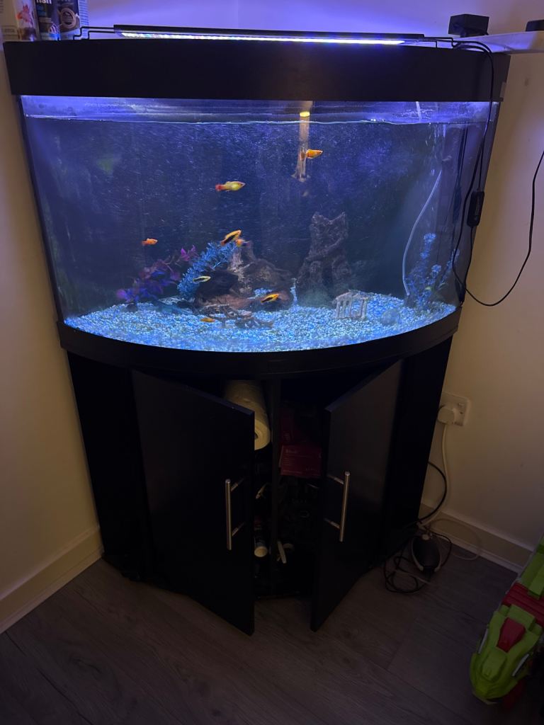 Corner Fish Tank with Cabinet – Good Condition