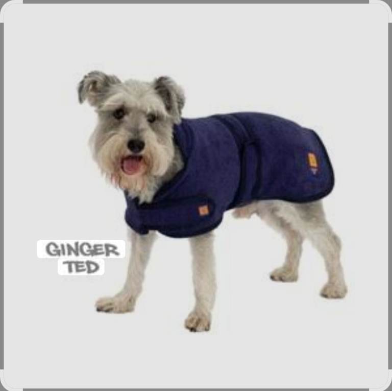 Ginger Ted dog Drying Coat with face and paw towel New24"