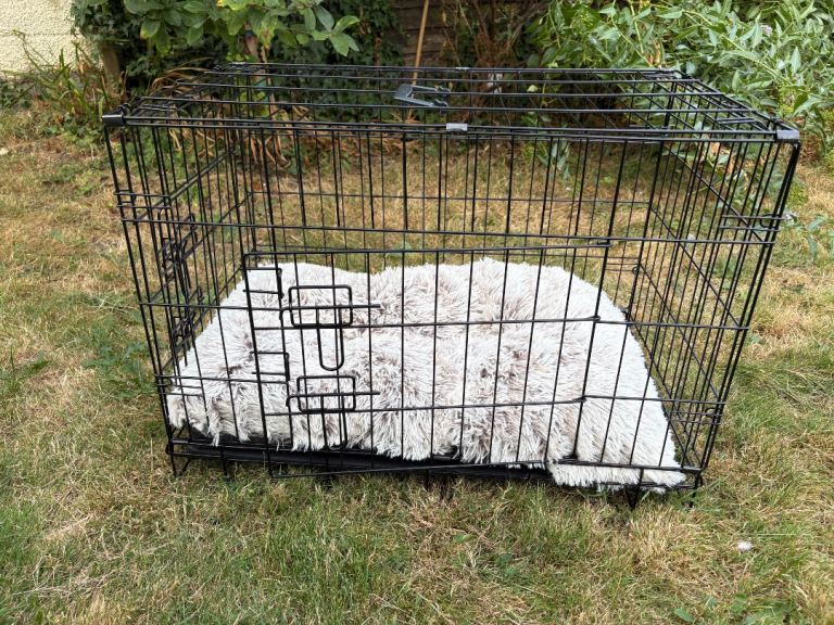 Dog crate and bed