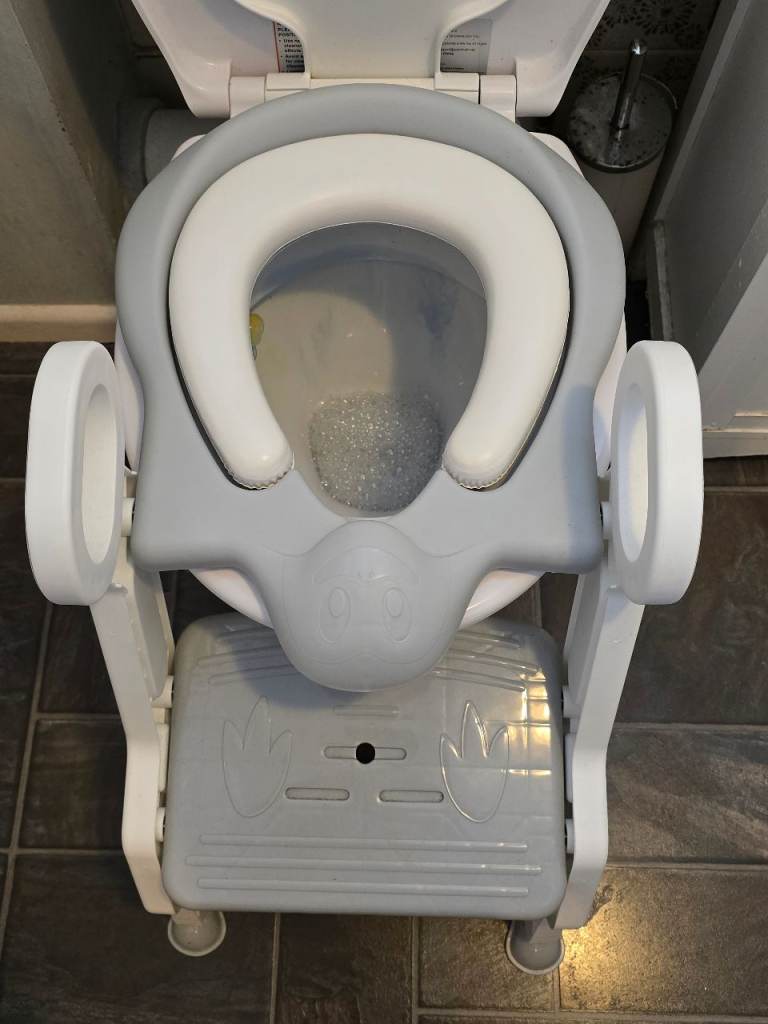 Toddler toilet seat