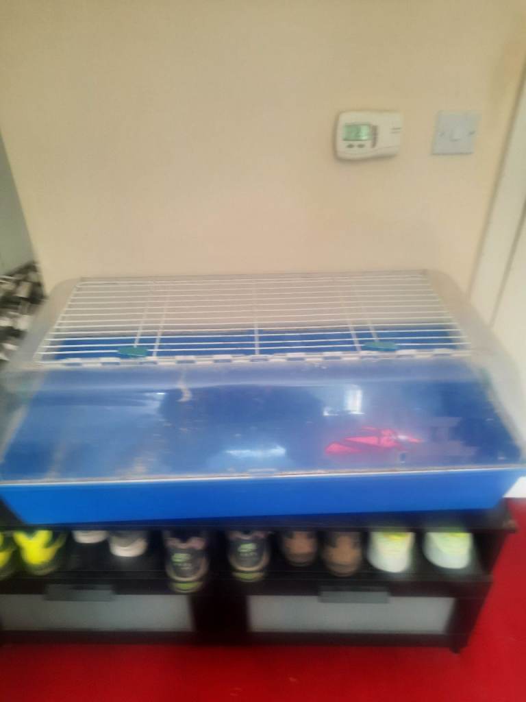2 Hamster Cages